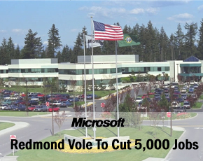 Redmond Vole To Cut 5,000 Jobs Following Poor Earnings, Bulking Up Search
