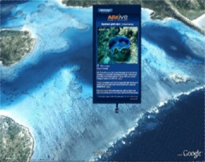 Revamped Google Earth 5.0 Beta Lets Users Explore The Ocean Depths
