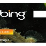 Microsoft's Bing Goes Hollywood - Adds Entertainment Features To Its Search Results