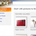 Microsoft Targets Google With Bing's “Visual Search” Feature For Some Queries