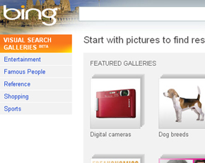 Microsoft Targets Google With Bing’s “Visual Search” Feature For Some Queries