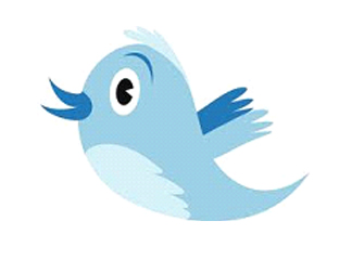 Twitter Tears the Privacy Veil