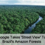 Google Takes 'Street View' To Brazil's Amazon Forests